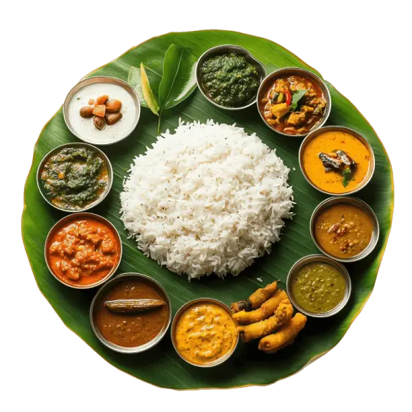 Fresh daily thalis